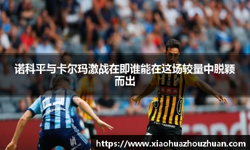 诺科平与卡尔玛激战在即谁能在这场较量中脱颖而出